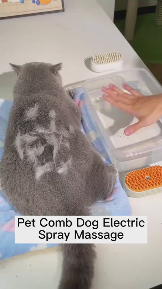 Steam Brush for Dog/Cat